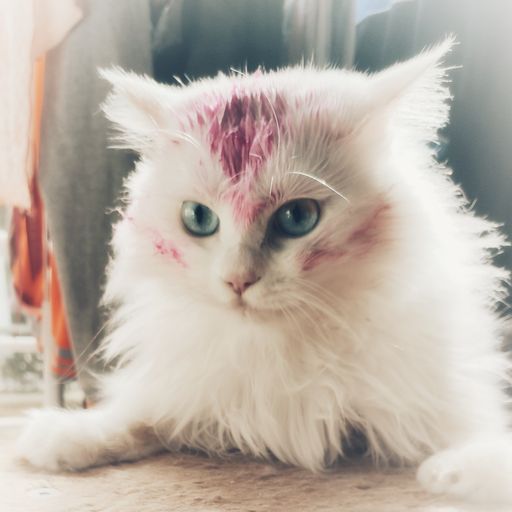 IMG_20191024_002136-01