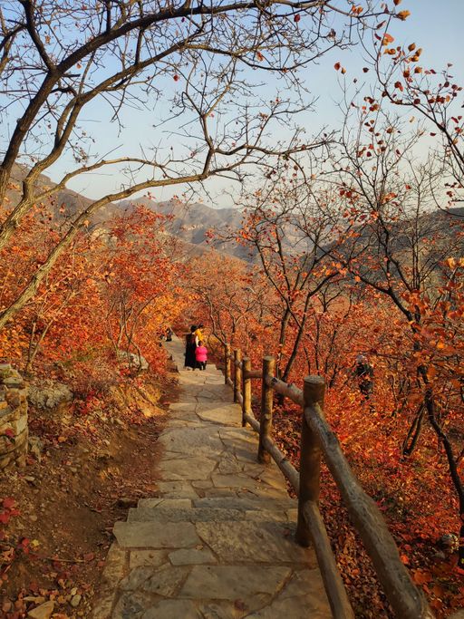 IMG_20201107_154258-01