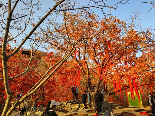 IMG_20201107_154454-01