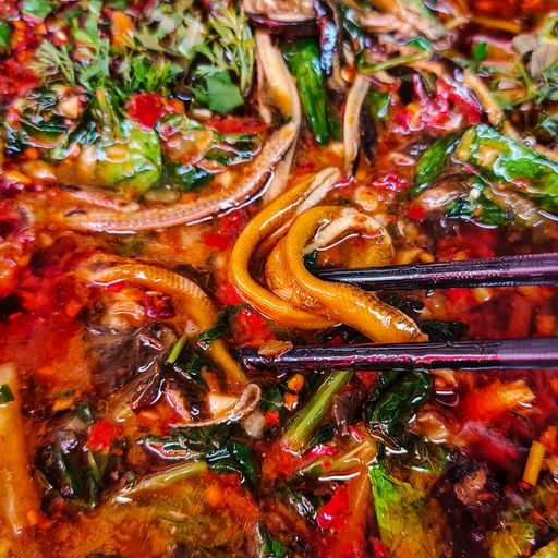 IMG_20230501_120729-01