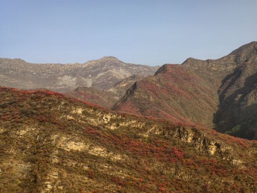 IMG_20201107_140553-01