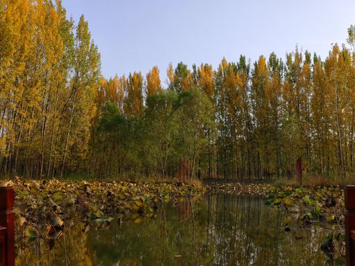 IMG_20201026_153216-01