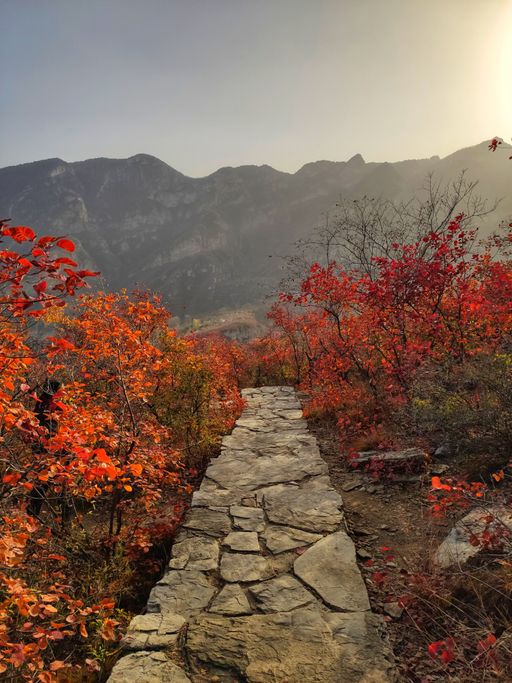 IMG_20201107_152432-01