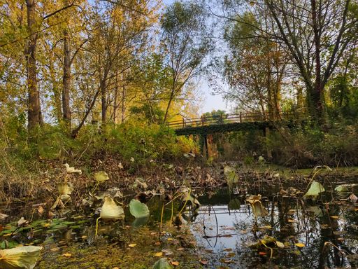 IMG_20201026_155219-01