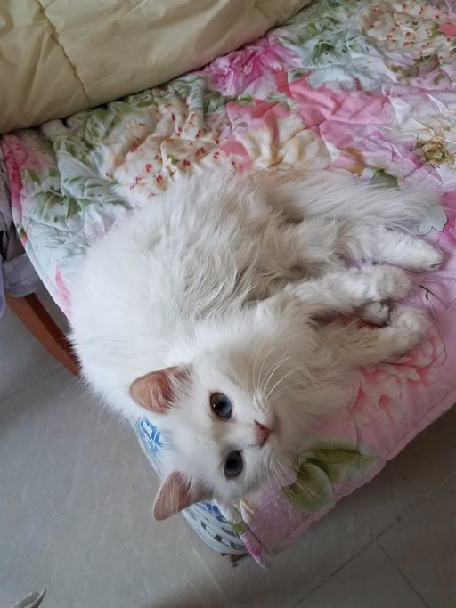 IMG20170521172714-01