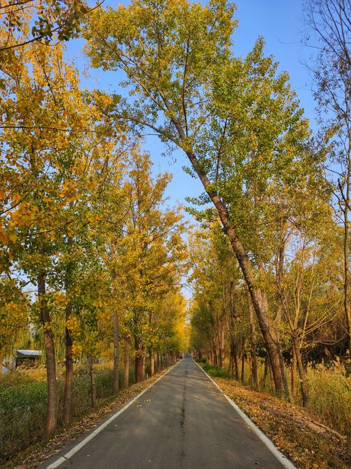 IMG_20201026_155749-01