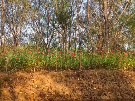 IMG_20201026_153506-01