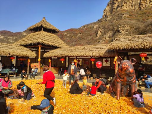 IMG_20201107_124953-01