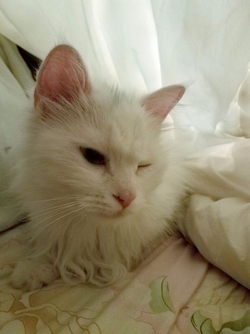 20170521_155614_001-02