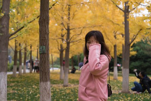 DSC05175å¯æ¬