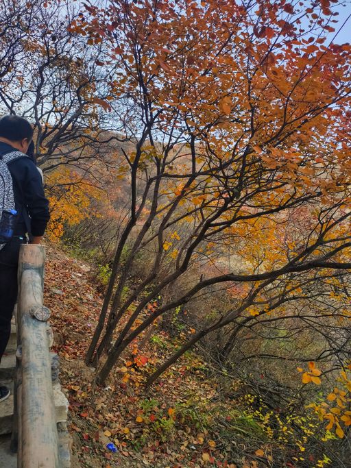 IMG_20201107_140750-01