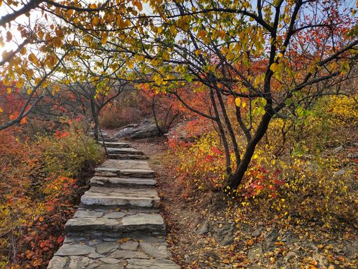 IMG_20201107_153028-01