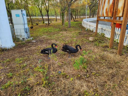 IMG_20201026_163519-01