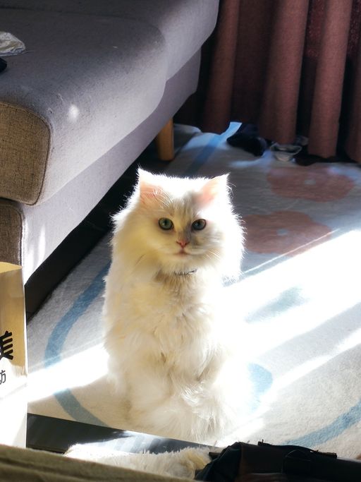 IMG_20211205_134929-01