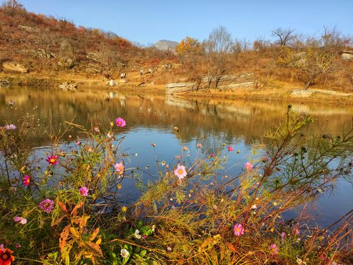 IMG_20201107_153532-01