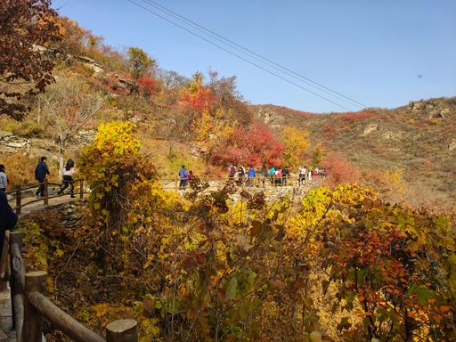 IMG_20201107_132414-01