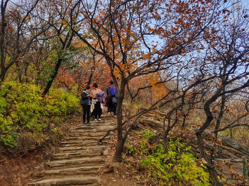 IMG_20201107_141934-01