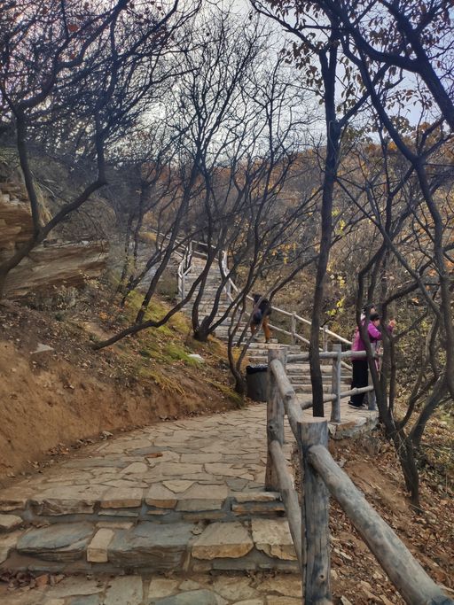 IMG_20201107_141025-01